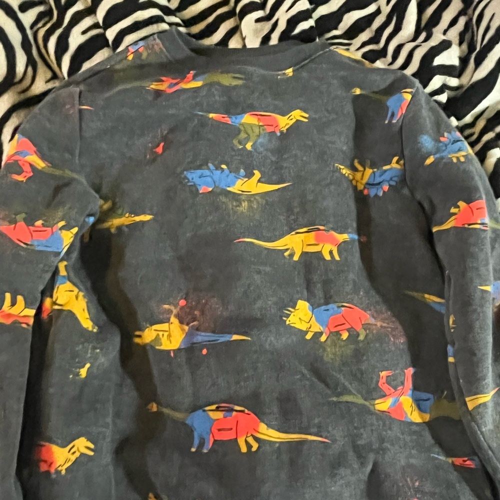 Cat & Jack Colorful Dinosaur Long Sleeve Tee - Charcoal